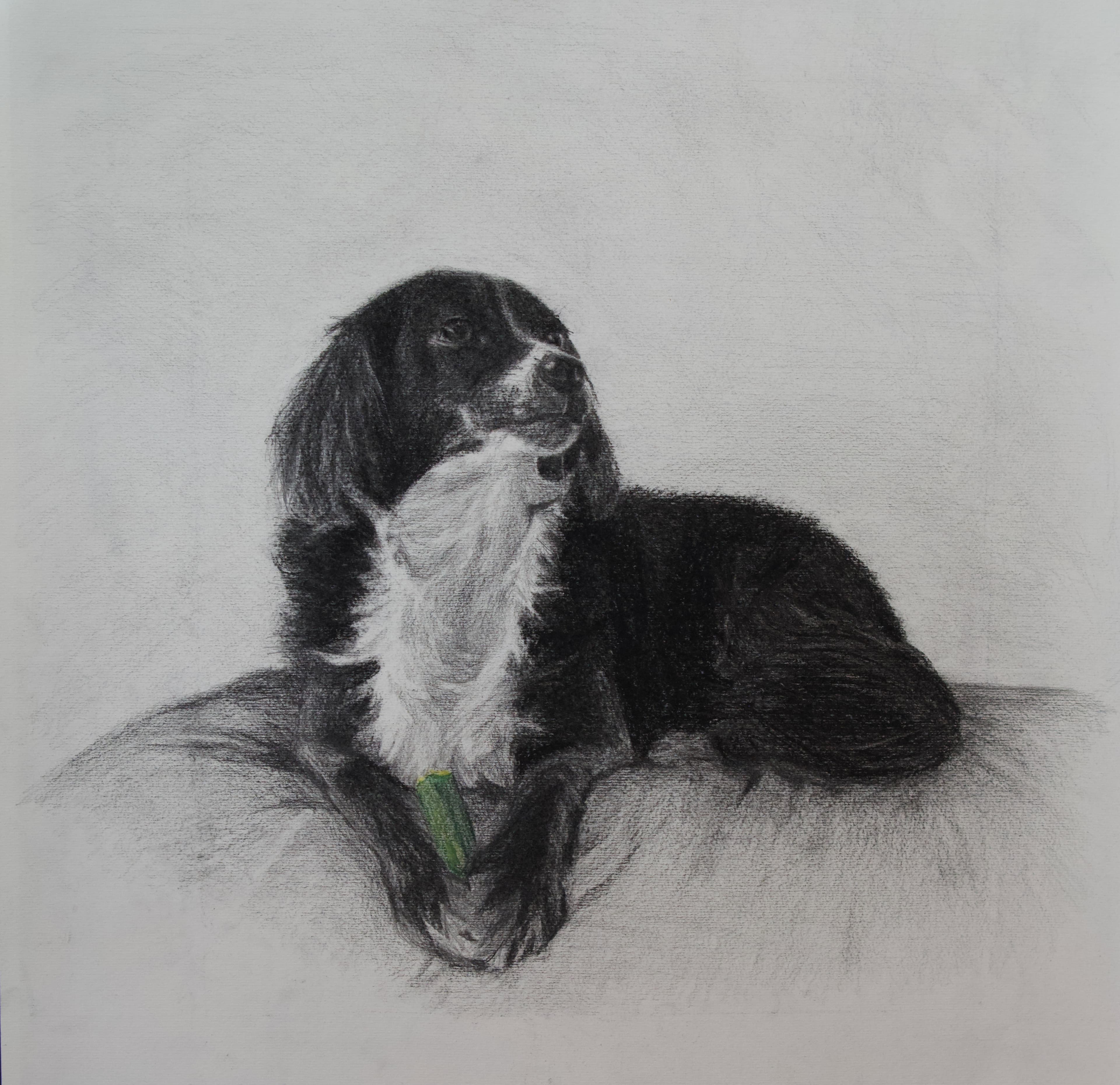 עבודת פחם ועיפרון – תלמיד באקדמיית הנוער